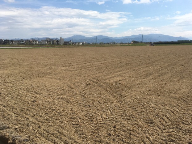 2017年ふくい夏の新そば（春まき）の播種が福井市河合地区と丘陵地のそば畑で始まりました。