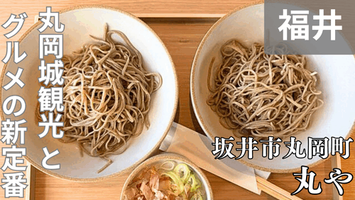 丸岡城観光とセットで味わいたい！「丸や」で食べられる数量限定の丸岡町産おろし蕎麦。