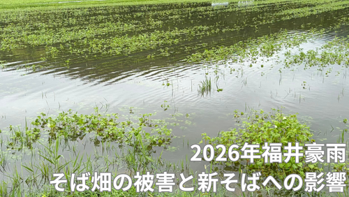 <span class="title">福井豪雨(2026年8月30日)福井のそば畑に大きな被害、新そばへの影響について。</span> <span class="title">福井豪雨(2026年8月30日)福井のそば畑に大きな被害、新そばへの影響について。</span>