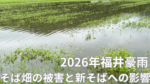 <span class="title">福井豪雨(2026年8月30日)福井のそば畑に大きな被害、新そばへの影響について。</span> <span class="title">福井豪雨(2026年8月30日)福井のそば畑に大きな被害、新そばへの影響について。</span>