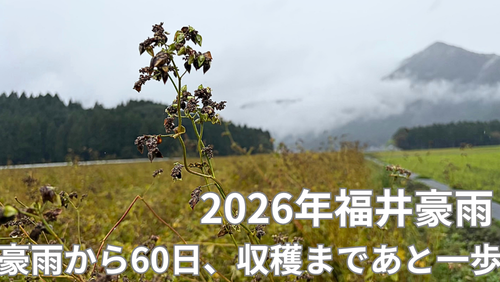 <span class="title">2026年福井豪雨から2か月|大野市・勝山市のそば畑は順調に生育!収穫を目前に控えた奥越地方の今。</span> <span class="title">2026年福井豪雨から2か月|大野市・勝山市のそば畑は順調に生育!収穫を目前に控えた奥越地方の今。</span>