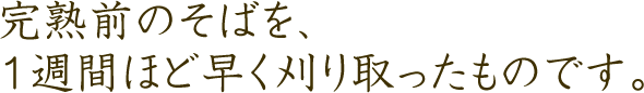 完熟前のそばを、1週間ほど早く刈り取ったものです。