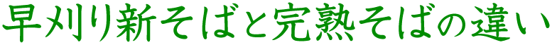  早刈り新そばと完熟そばの違い