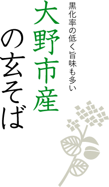 黒化率の低く旨味も多い、水分量も高い大野市産の玄そば
