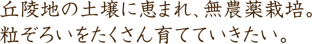 丘陵地の土壌に恵まれ、無農薬栽培。粒ぞろいをたくさん育てていきたい。