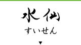 水仙